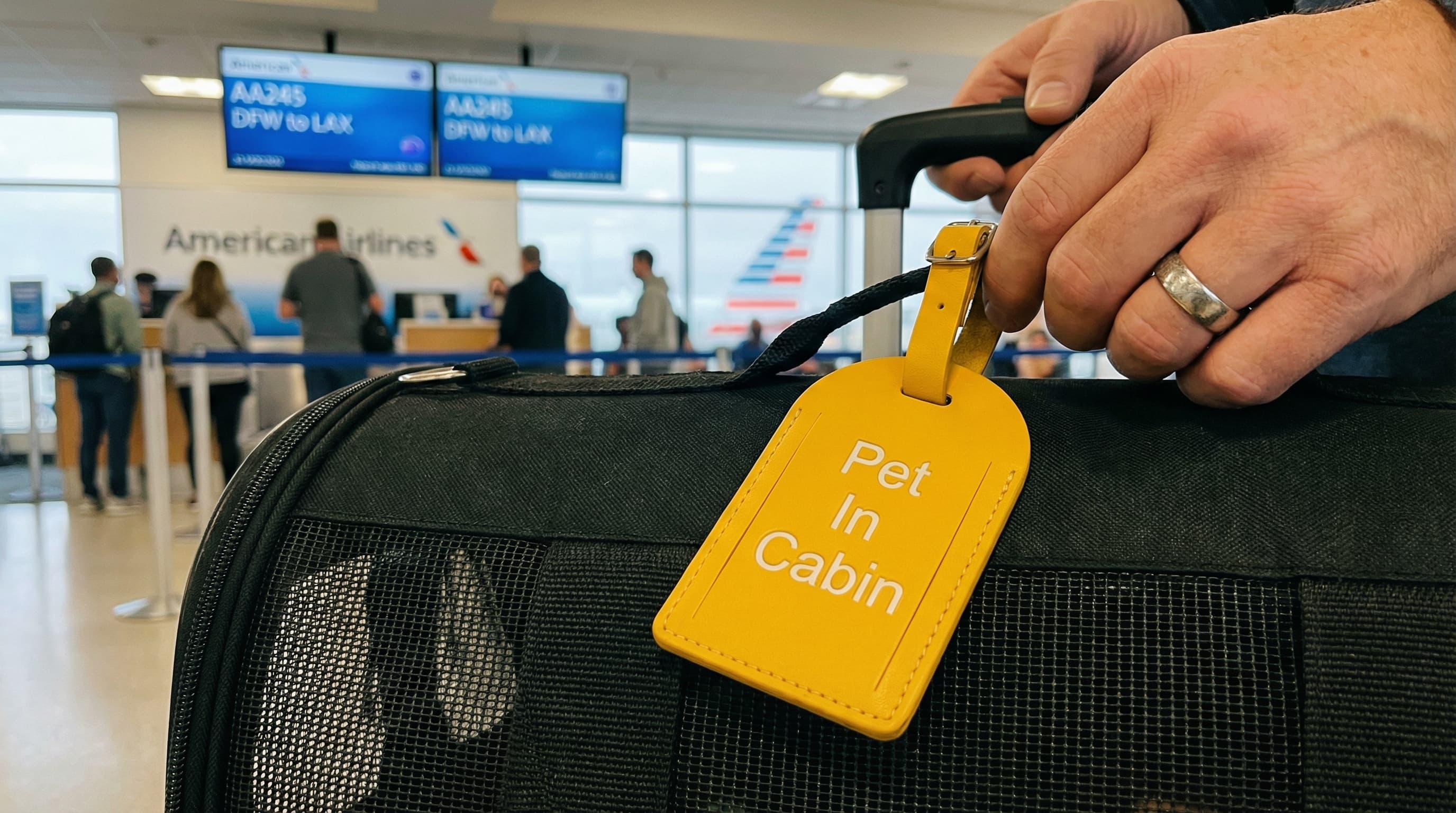Soft-sided pet carrier on airport terminal floor with multiple yellow airline pet tags layered on the handle, terrier peeking through the mesh