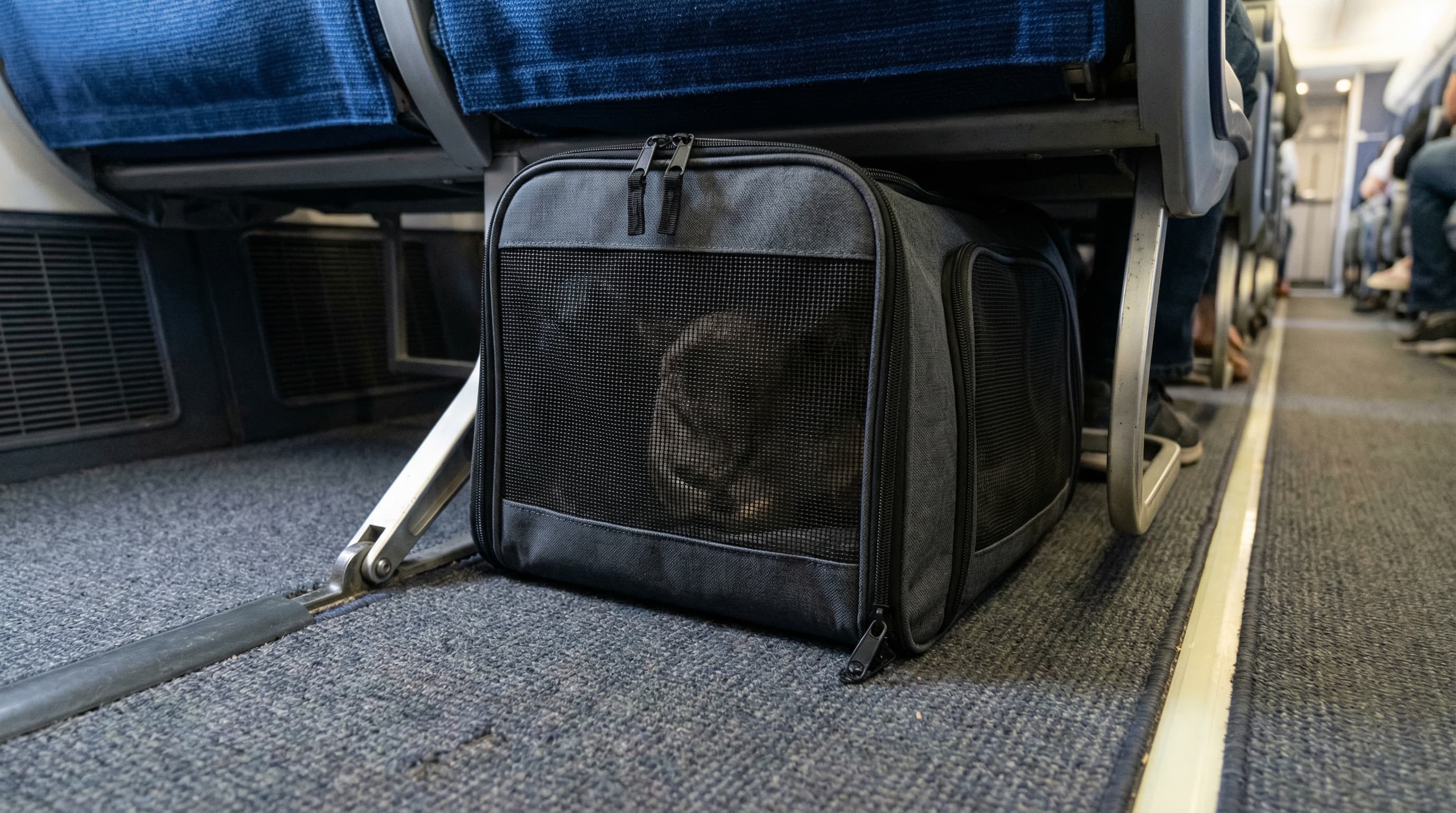 Ground-level view of soft-sided pet carrier fitting snugly under the airplane aisle seat, dog silhouette visible through the mesh