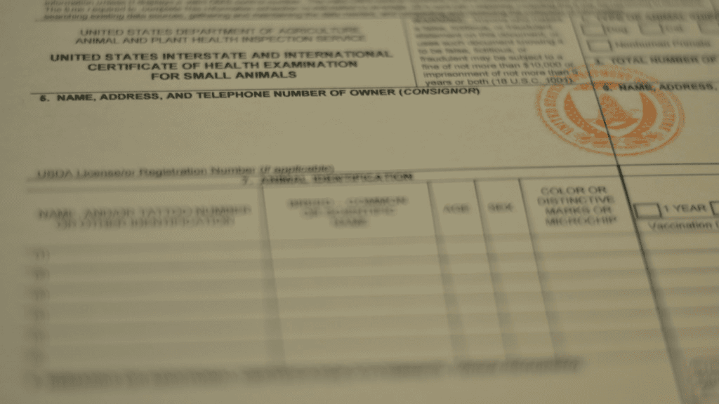 USDA APHIS 7001 International Health Certificate for Small Animals with official USDA endorsement stamp