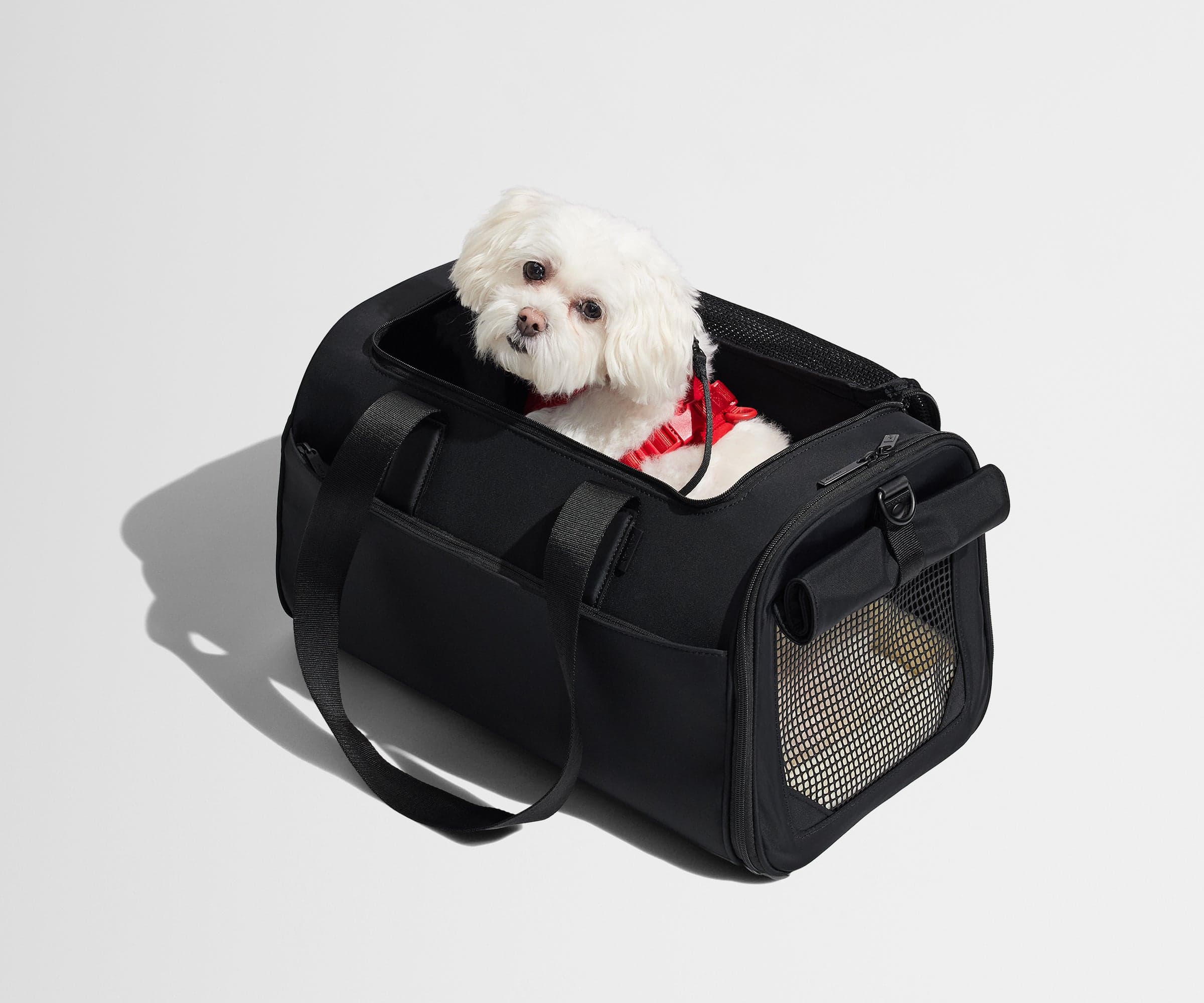 Away Pet Carrier