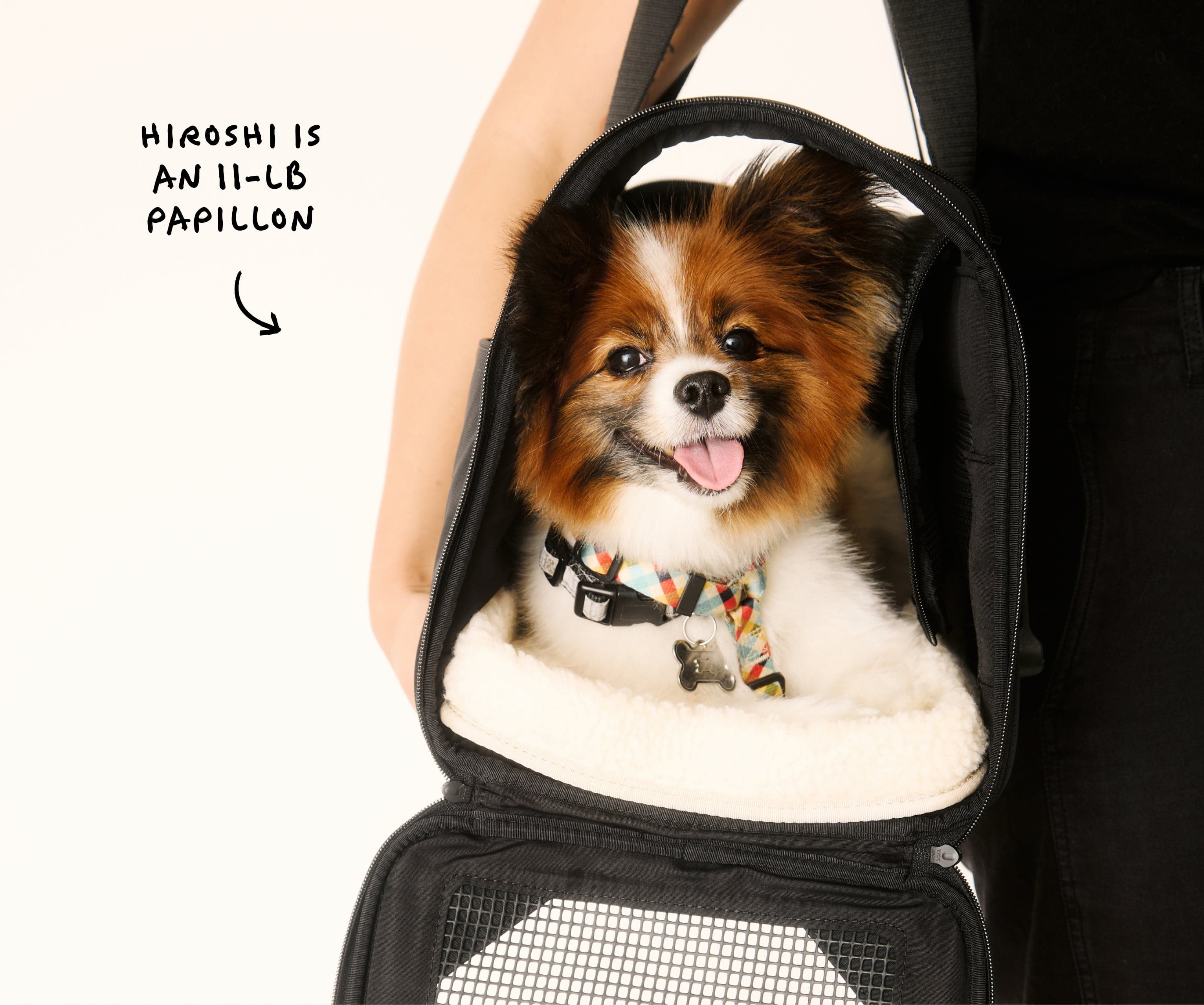 Away The Pet Carrier Airline Approved with luggage