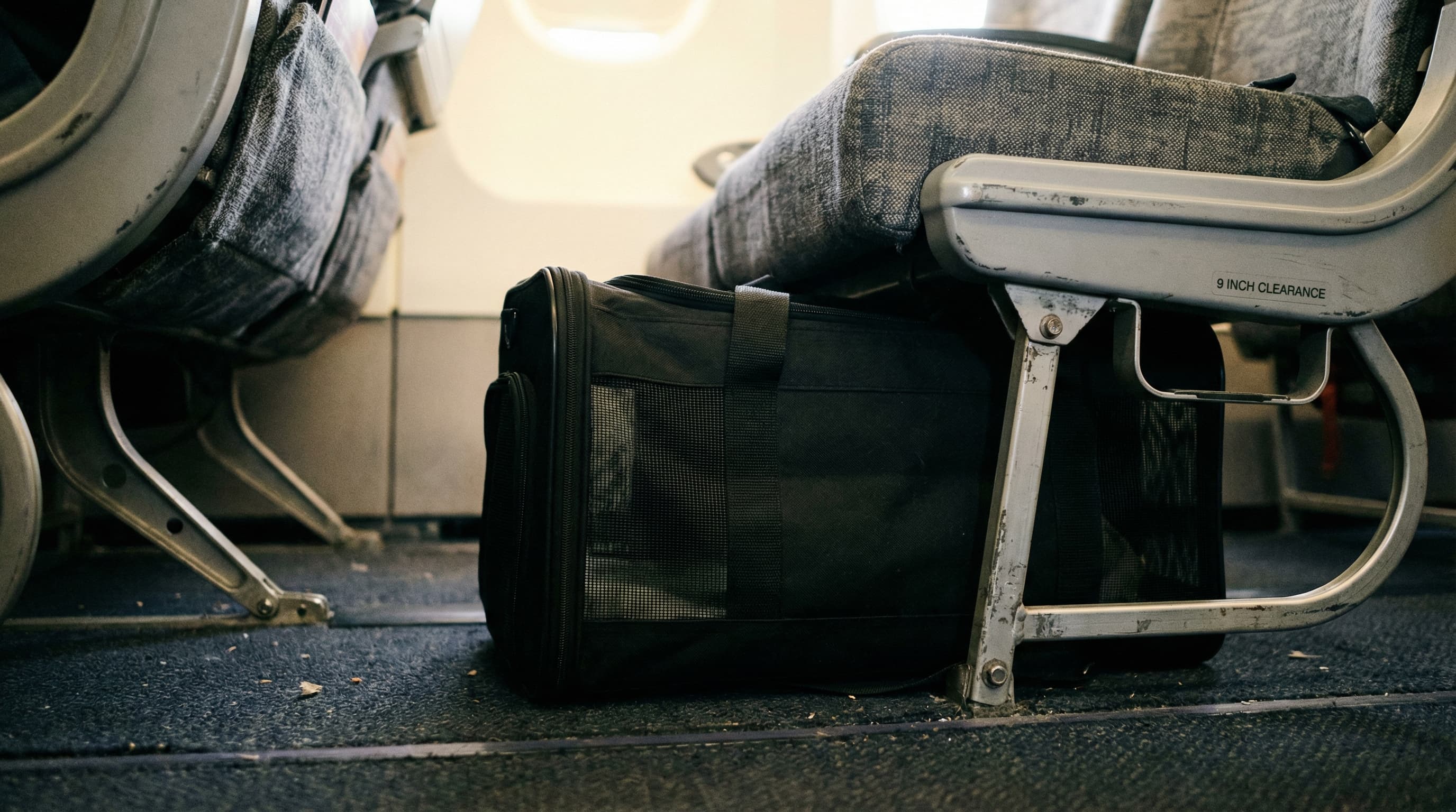 Soft-sided pet carrier tucked under a budget airline seat showing limited height clearance