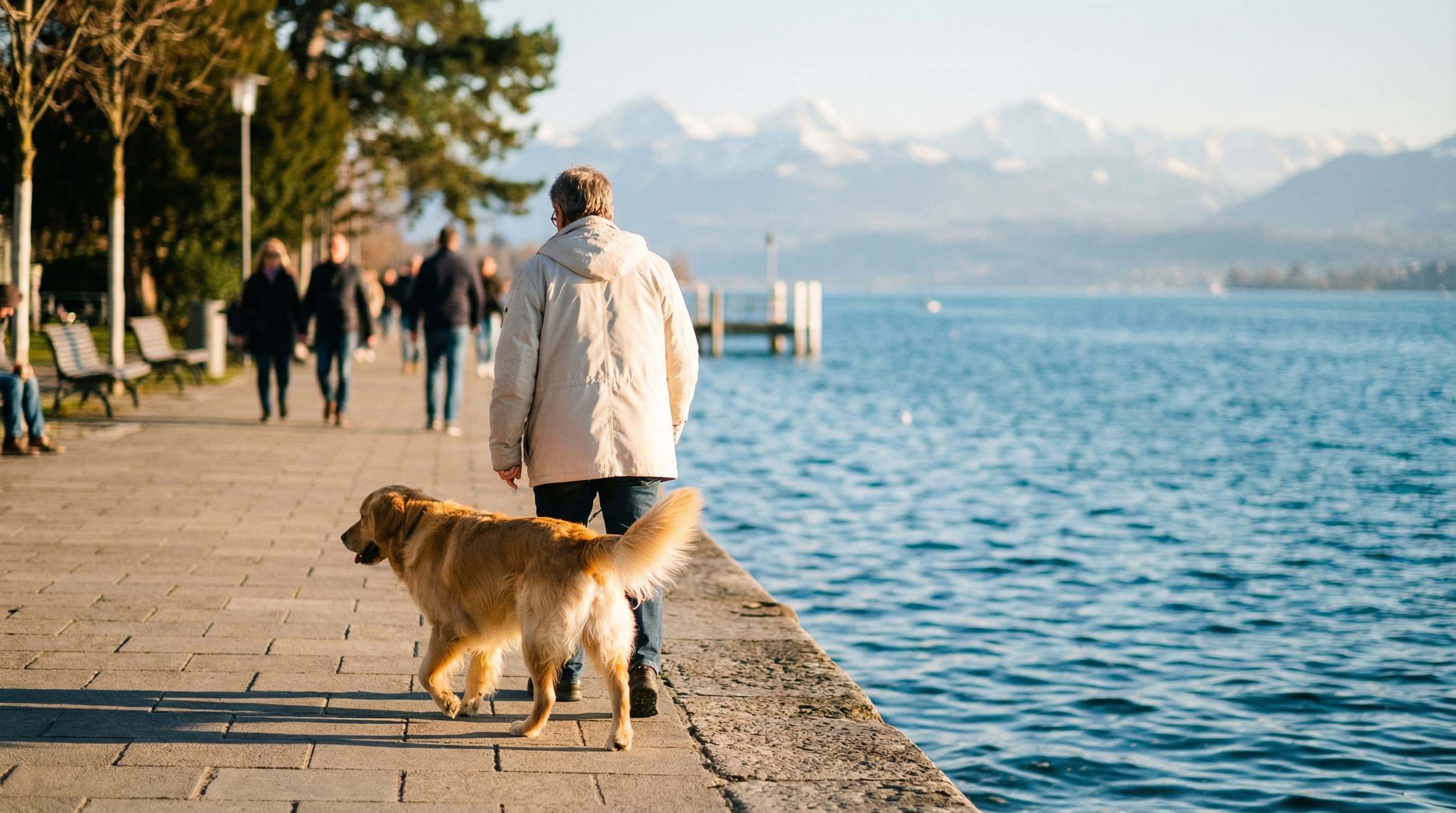 Golden retriever walking with owner along Lake Zurich waterfront promenade on a clear day